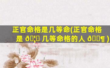 正官命格是几等命(正官命格是 🦆 几等命格的人 🐶 )